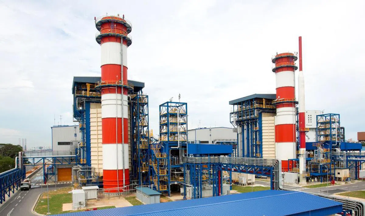 新加坡目前有高达95%的供电以天然气为燃料。（太平洋光电）