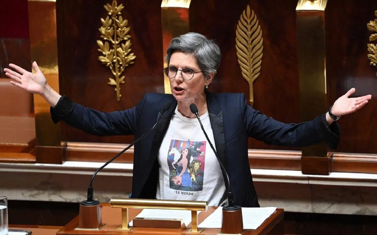 法国绿党女议员鲁索。（互联网）