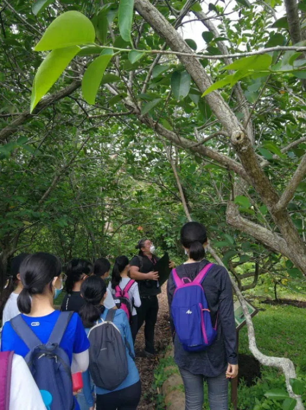 Esmonde Luo正在进行城市觅食课程的讲解。 Esmonde无师自通，自学各种野花野草。（Esmonde Luo）