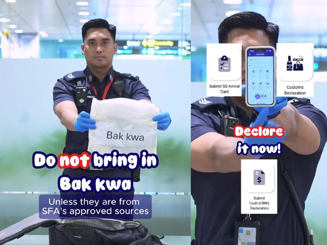 新加坡移民与关卡局发布2025年农历新年“洗脑神曲“MV。（红蚂蚁制图）