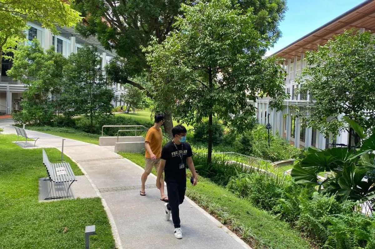 对一些学生及校友来说，他们担忧的是合并后耶鲁—国大的独特文化将不复存在，而校方决策过程中的不透明更令他们愤怒。（海峡时报）