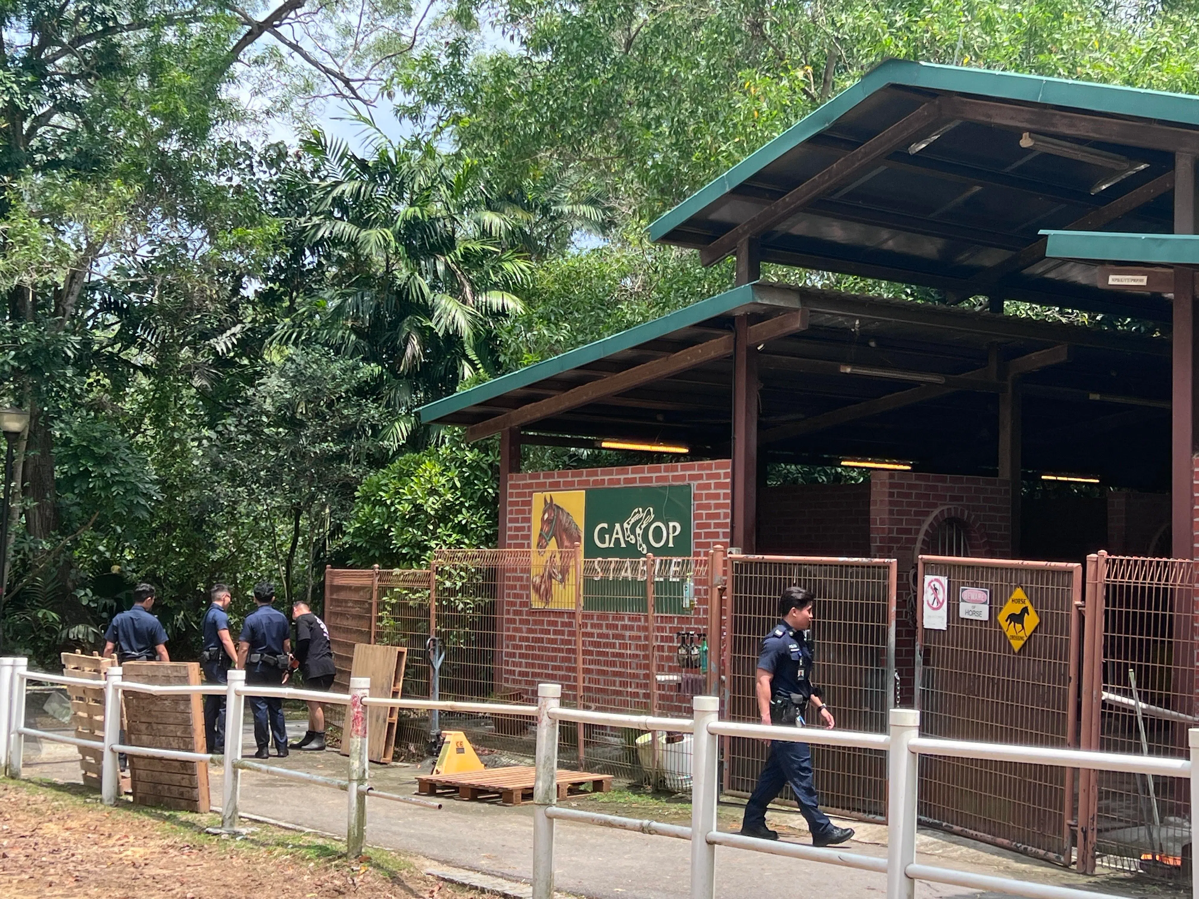 位于白沙公园内的 Gallop Stable 马厩。