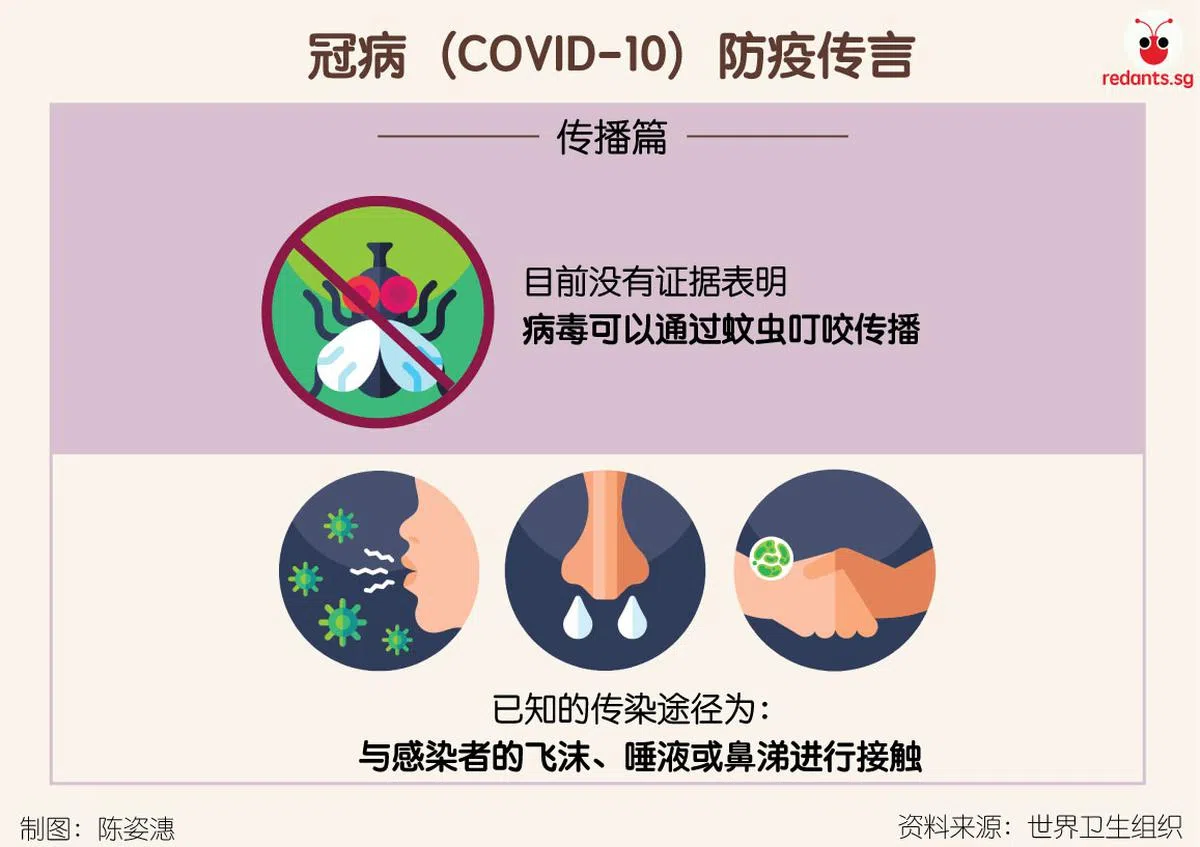  （陈姿潓制图） 