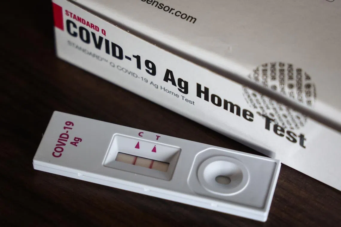 新加坡最近的一波冠病疫情，以奥密克戎BA.4和BA.5毒株为主。（联合早报）