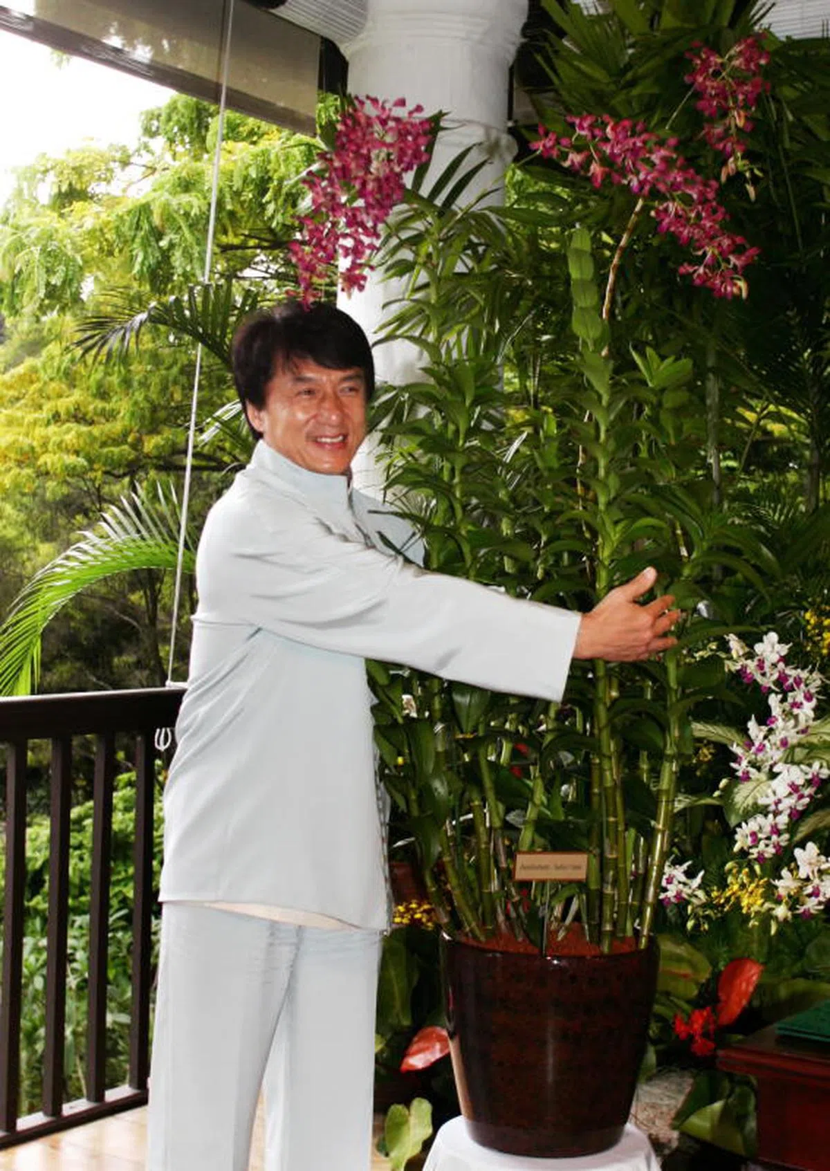  以成龙命名的胡姬花。（联合早报） 