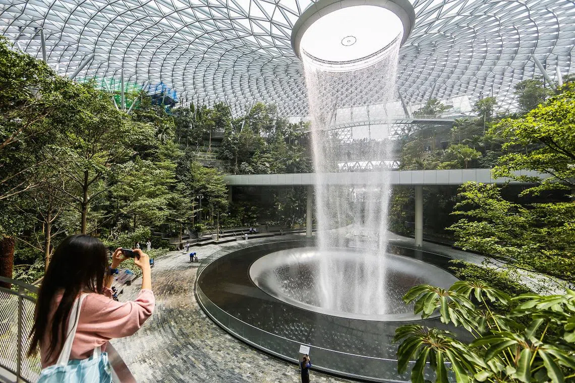 星耀樟宜今天（11号）下午已经迎来了首批登记预先预览先睹为快的访客。（联合早报）