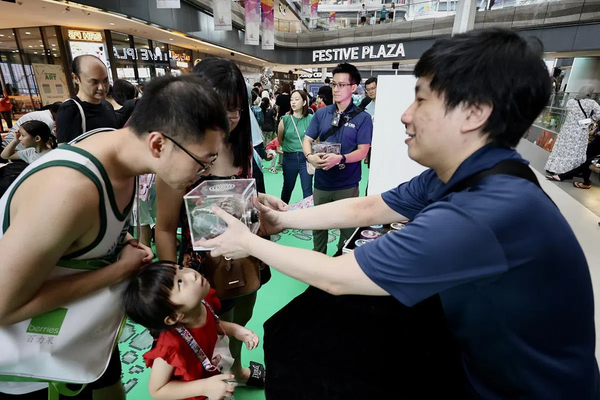 在肃毒局举办的“反嗜毒运动”嘉年华，家长可以通过观看在住家种植大麻的模拟场景，向孩子解释大麻的危害。（联合早报）