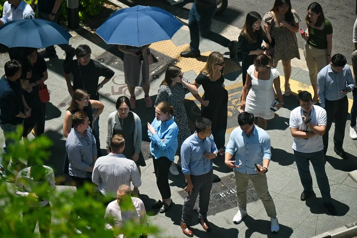 外企真香？（海峡时报）