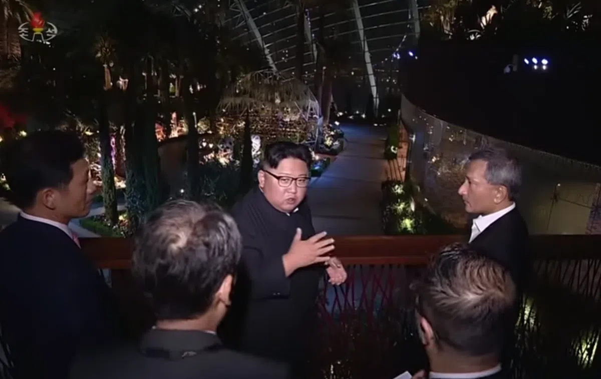 金正恩夜游滨海湾花园。有没有“金导游”的架势？（朝鲜中央电视台纪录片截图） 