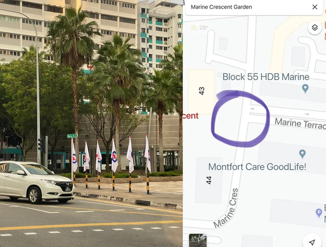 新加坡民主党质疑提名日还没到，插旗是否违反选举法令。（新加坡民主党面簿）