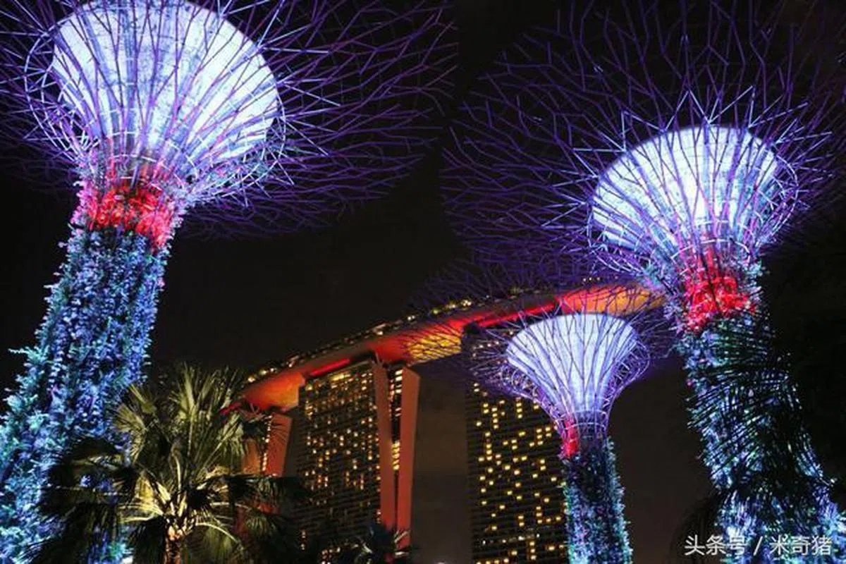  （取自互联网） 