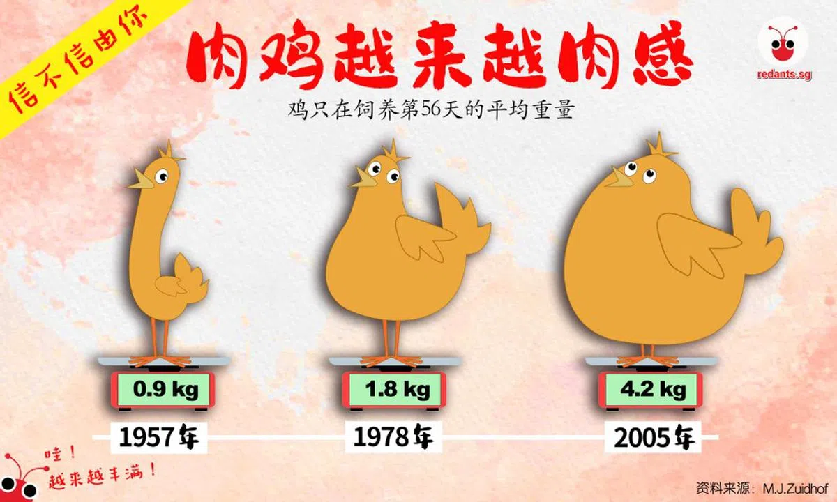 （黎晓昕制图）