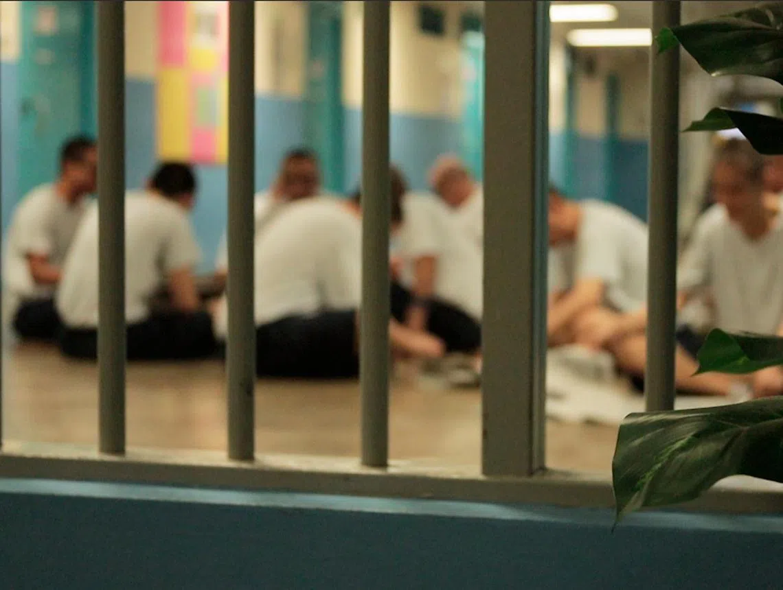 我国国会通过延长允许当局未经审判先拘留不法分子的“第55条”。（海峡时报）