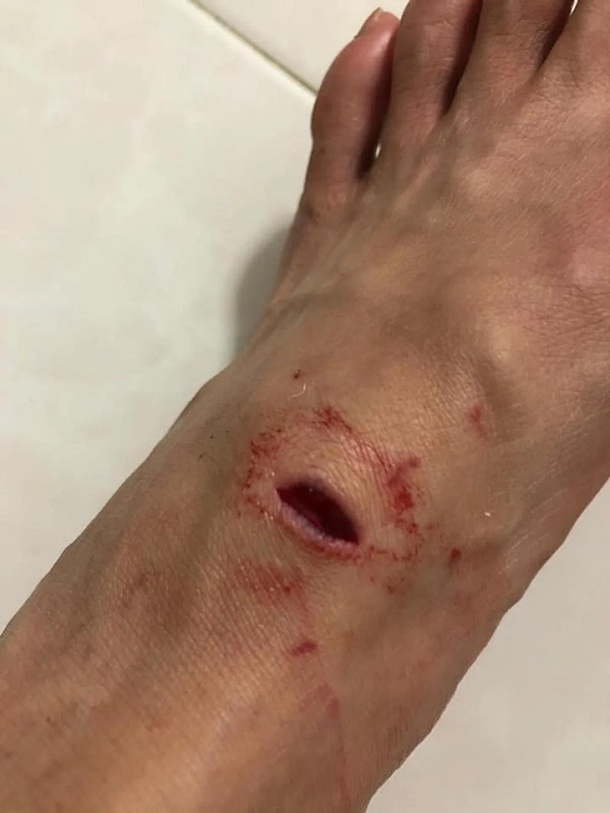  （Stephanie Chu面簿） 