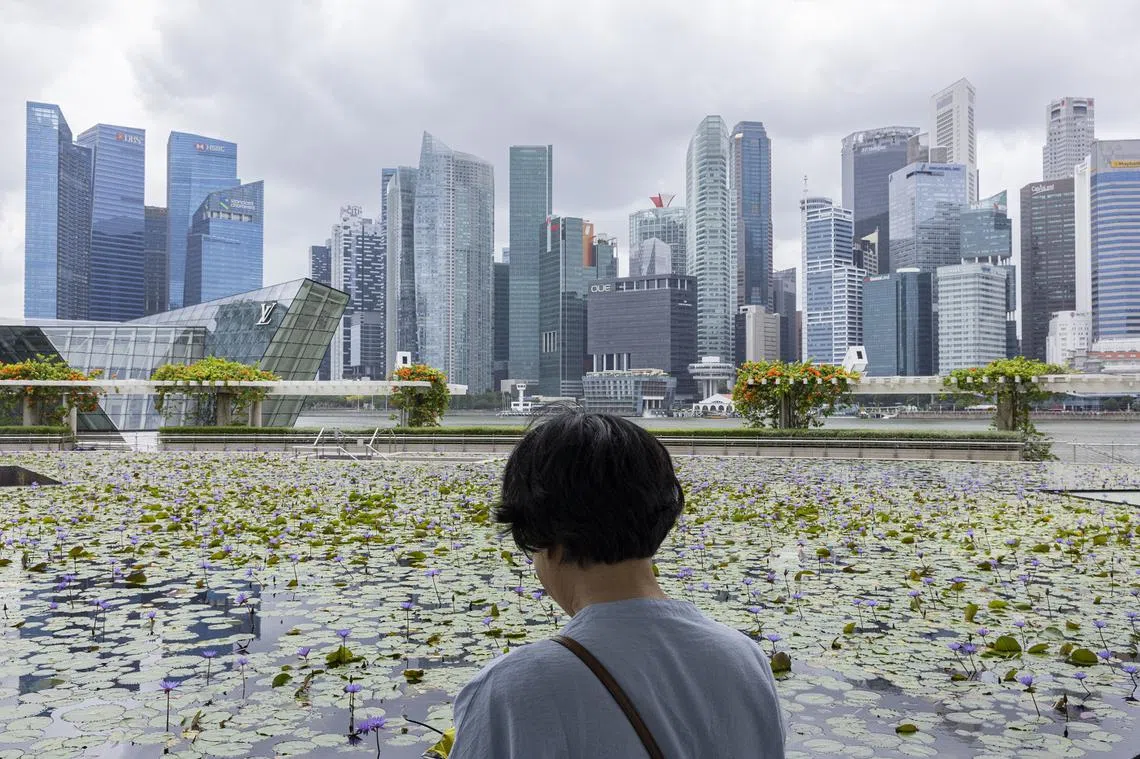 新加坡公民和永久居民未必清楚财长提到的各种计划。（海峡时报）