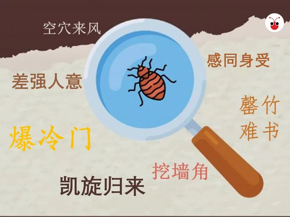 《咬文嚼字》2019年底在微博上发布了“十大语文差错”。（叶安琪制图）