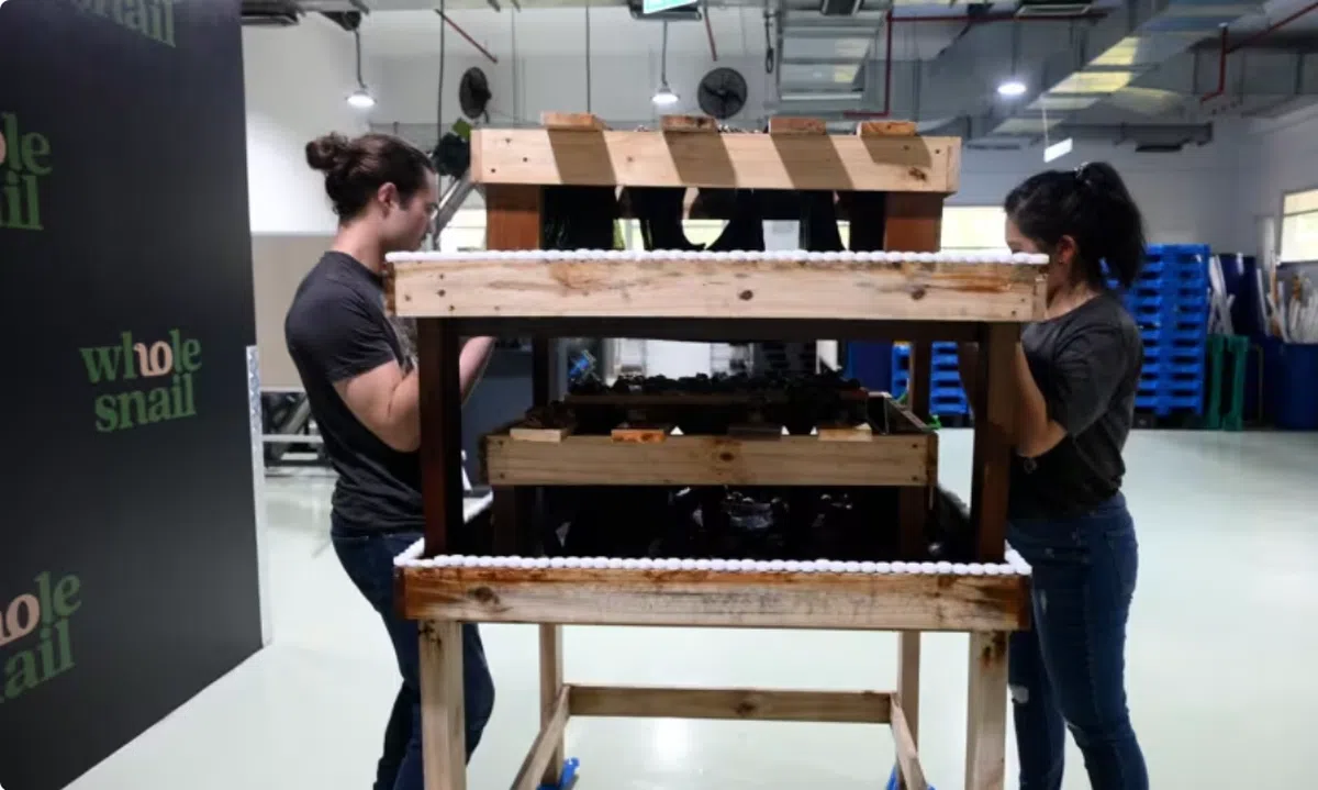 1米乘1米的木质塔形架子。（取自亚洲新闻台）