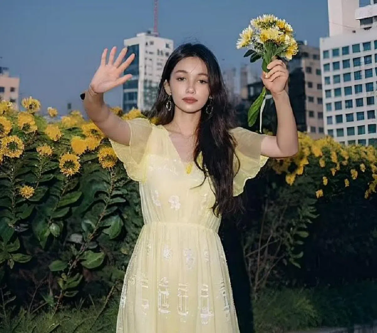 （WAICA网站截图）