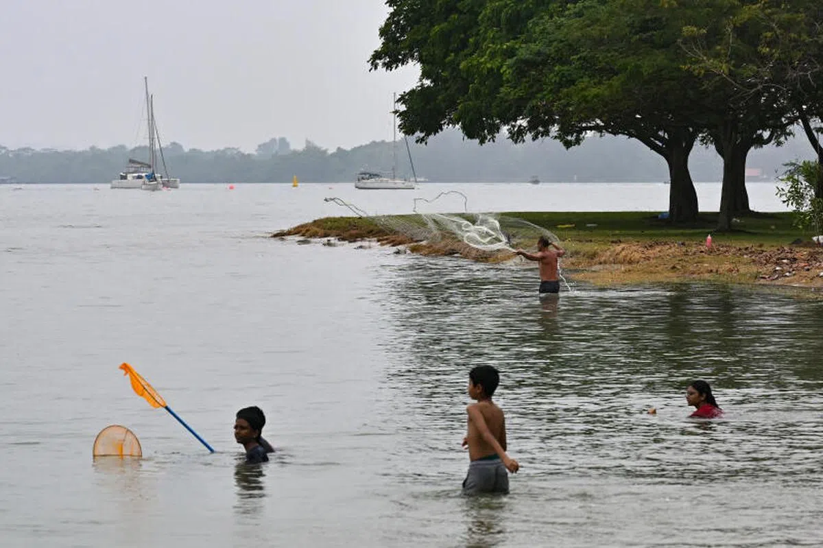 新加坡樟宜海滩。（海峡时报）