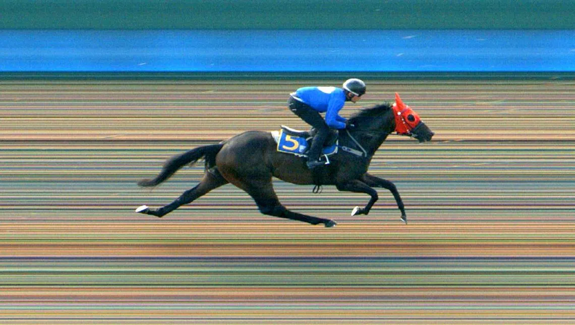 “无马走”一词据信与赛马有关，形容冠军马在赛场上一骑绝尘，后来引申为无可比拟的意思。（新加坡赛马公会）