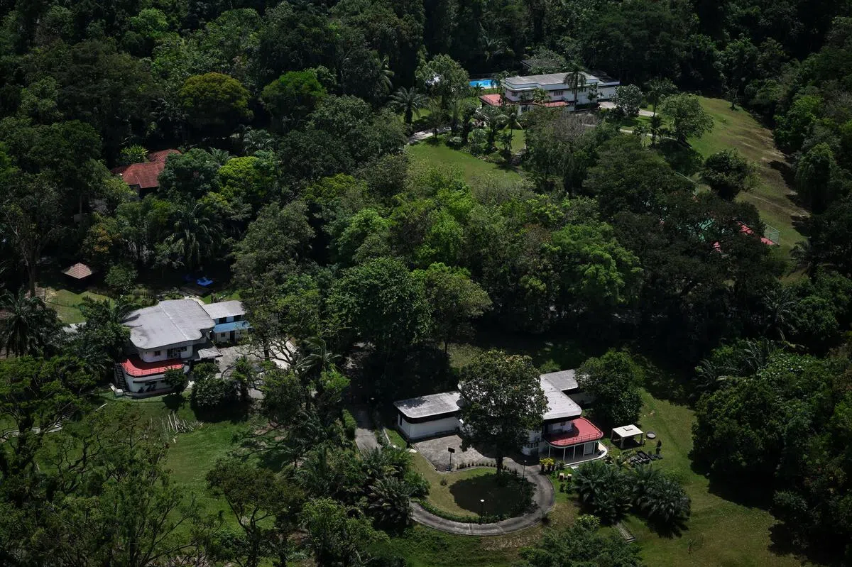 从杜生庄（SkyVille@Dawson）政府组屋俯瞰女皇镇杜生一带的优质洋房区。（海峡时报）