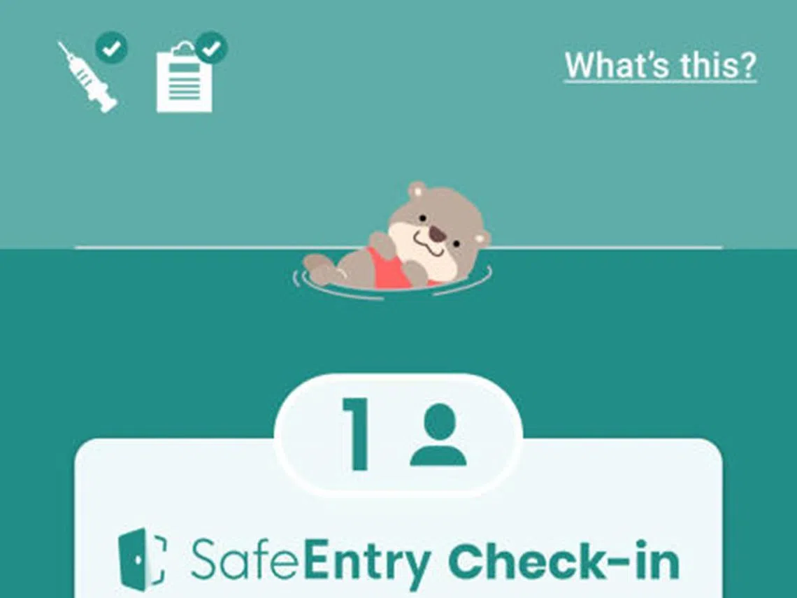 防疫措施进一步放宽，公众就更少有机会见到这悠闲可爱的小水獭了。（智慧国及数码政府署）