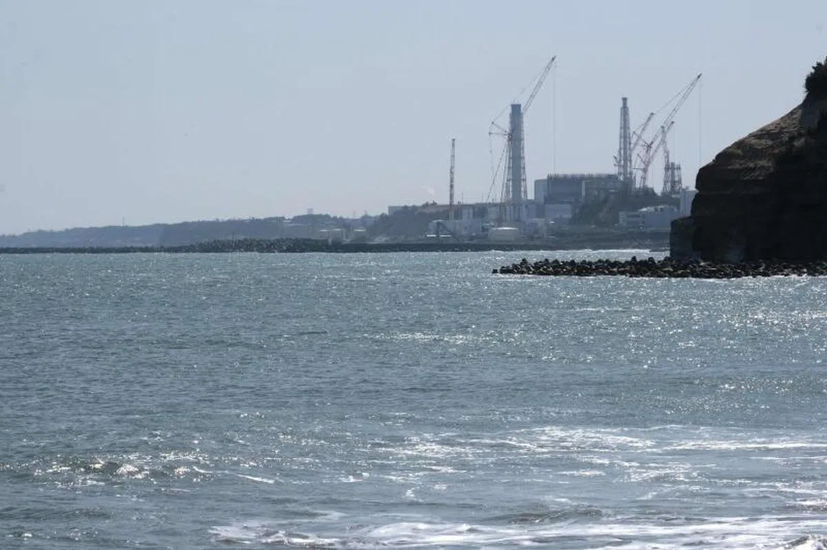  福岛第一核电站附近的海岸。（法新社） 