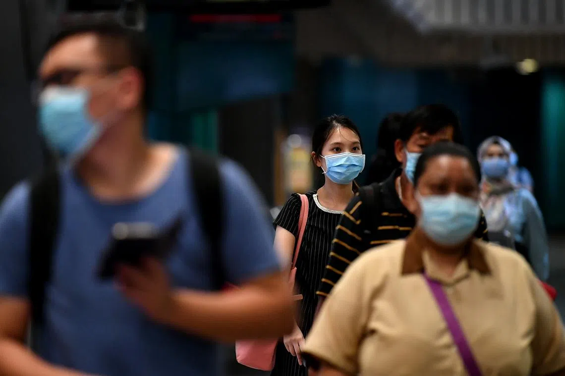 国内税务局表示本地共有444名雇主涉及滥用雇佣补贴计划。（海峡时报）