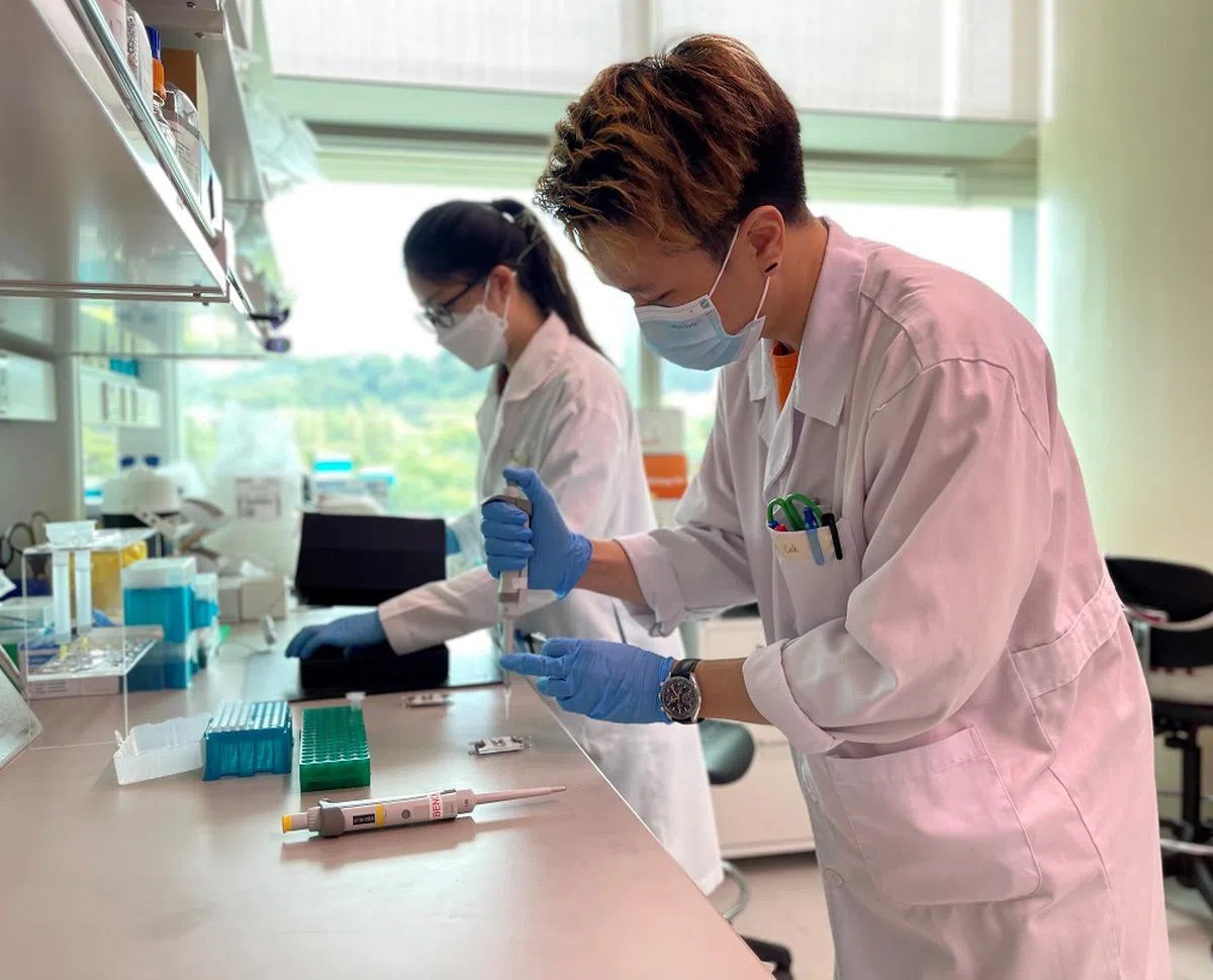 实验室里的细胞反应，不一定跟真实世界中的病毒反应一致。（联合早报）
