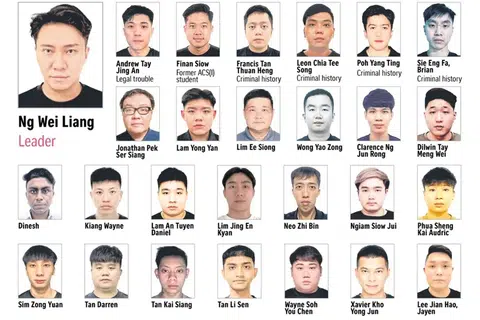 《海峡时报》网络版刊登嫌犯的照片时，除了附上名字，也点出其中一人曾就读于英华自主中学。