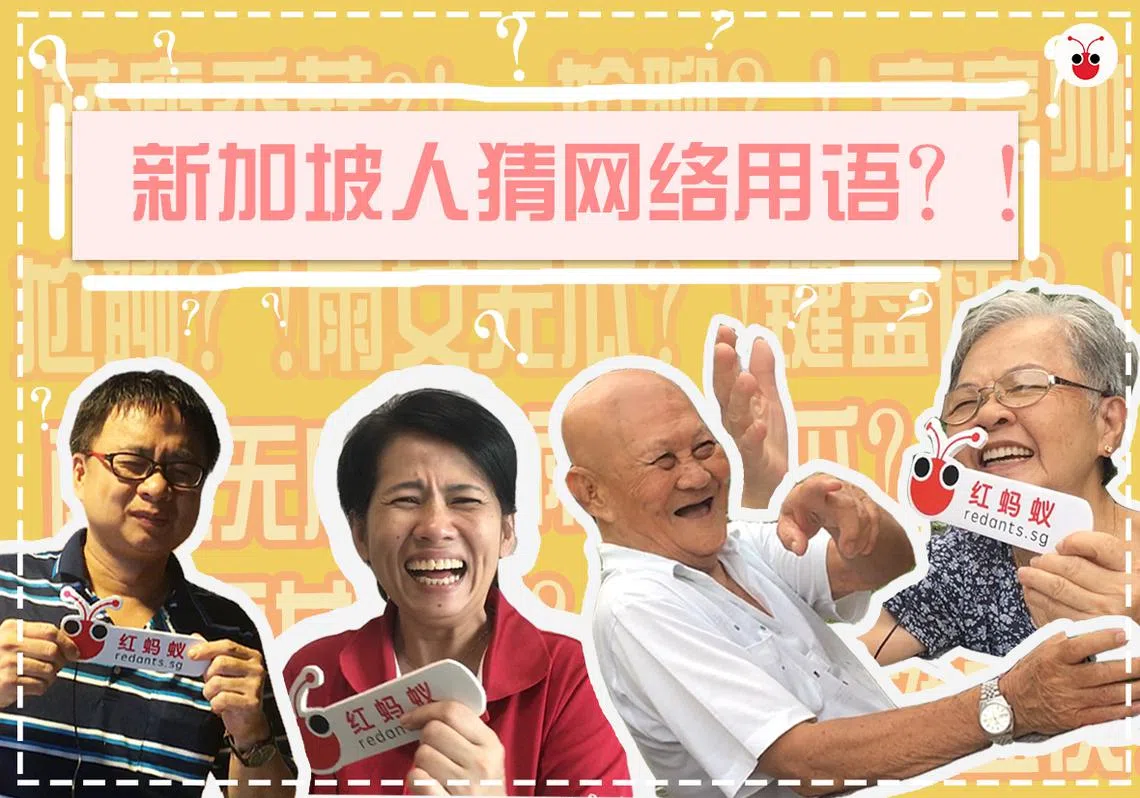 没想到安娣安哥表现还不错！