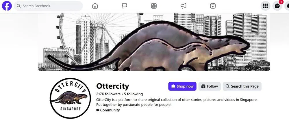 本地关心水獭的组织Ottercity。