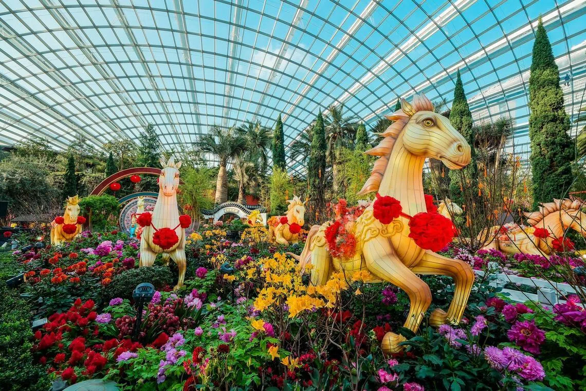 滨海湾花园农历新年花卉展“春花盛开之骏马奔腾”，展现出八匹骏马仿佛在江南园林中奔腾。白天与花争艳，夜晚化身为靓丽的“花灯马”。