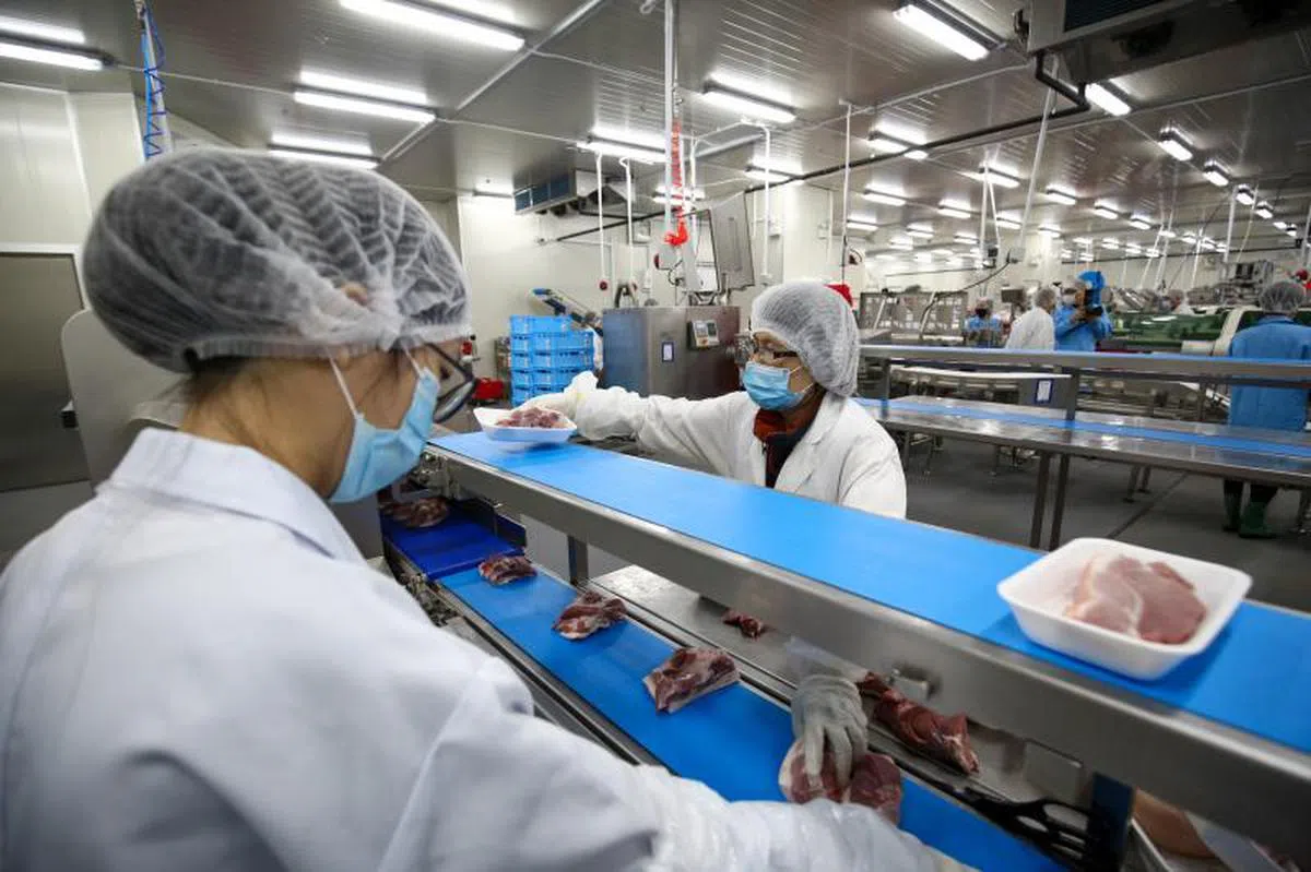 工资会建议雇主协助员工提升技能，以应对经济转型。（联合早报）