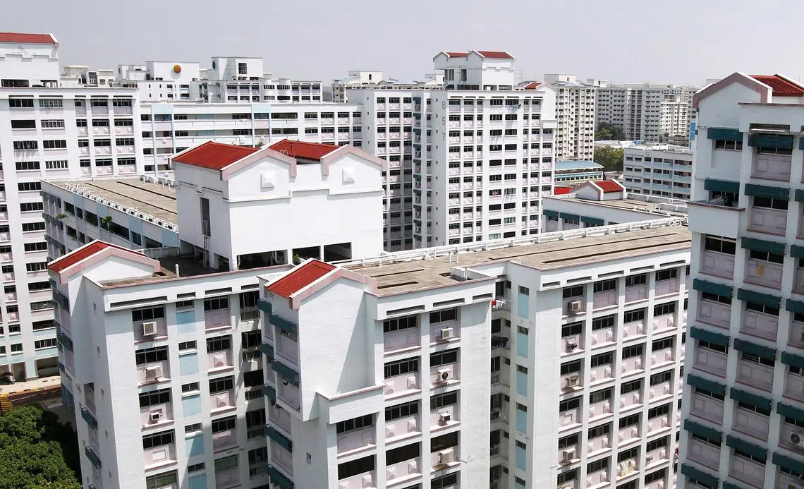 裕廊西要成为我国下一个“牛车水”吗？（联合早报）