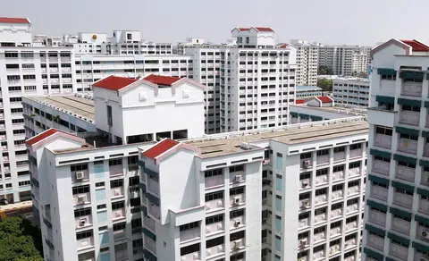 裕廊西要成为我国下一个“牛车水”吗？（联合早报）