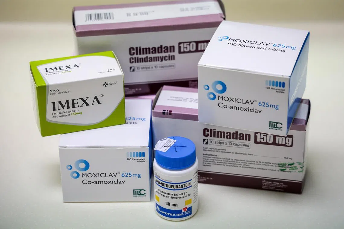 综合诊疗所最常开出的抗生素，主要用来治疗呼吸道、皮肤和泌尿生殖系统感染。（联合早报）
