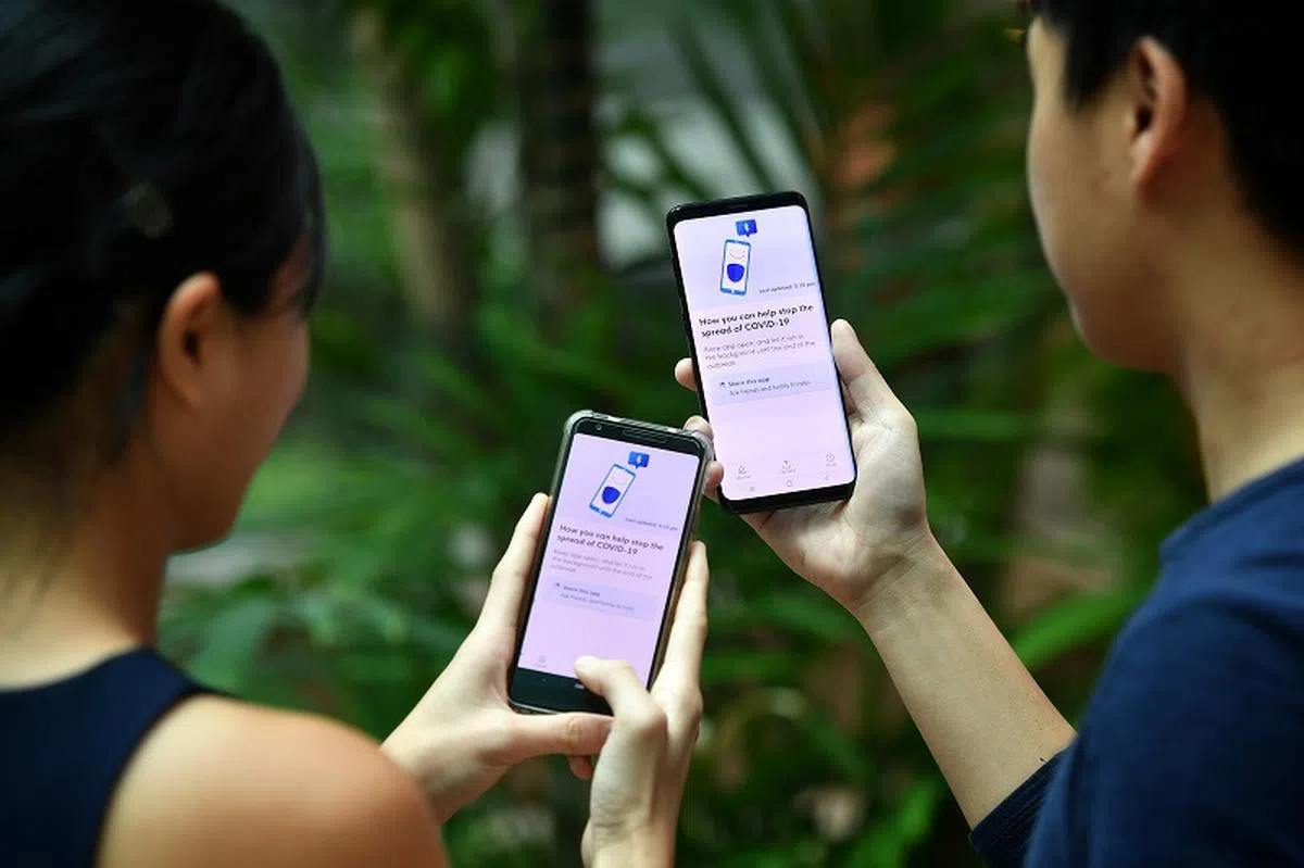  由政府科技局（GovTech）推出的手机应用“TraceTogether”（合力追踪）。（海峡时报） 
