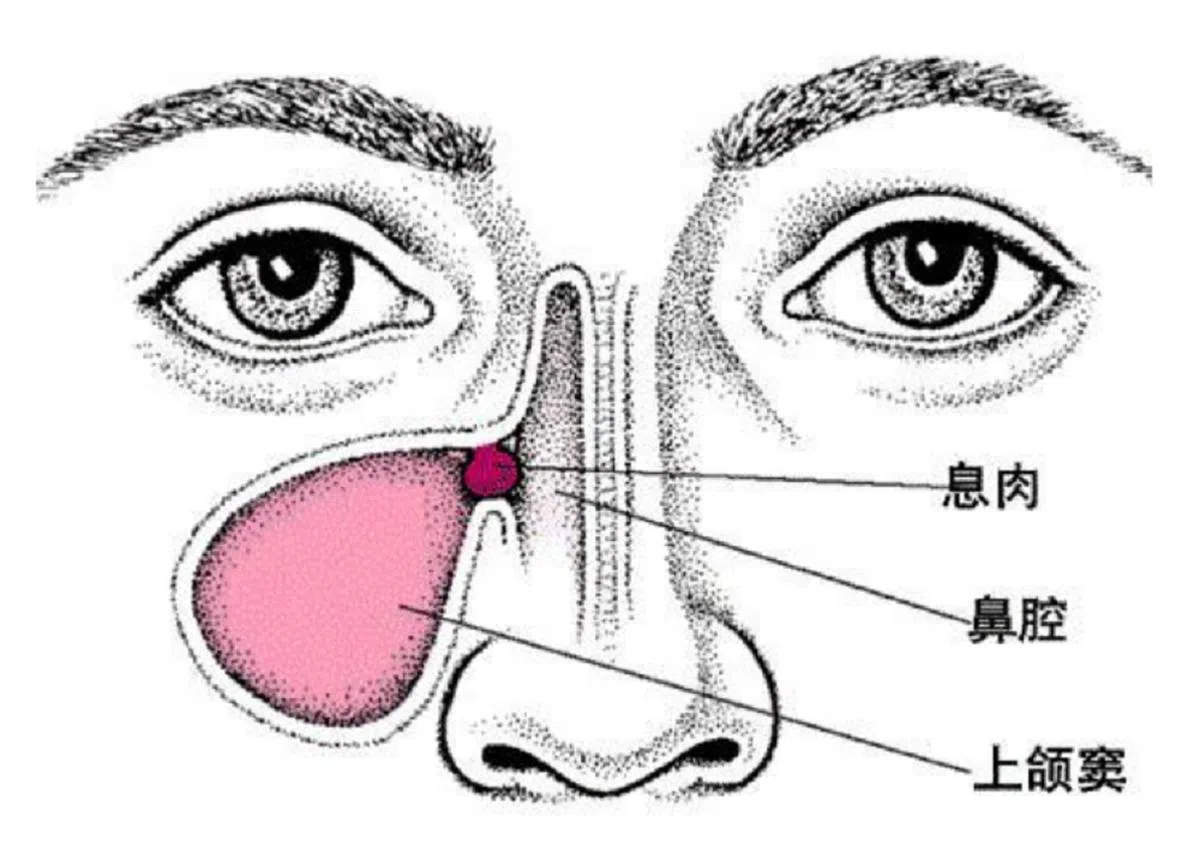 （健康医疗网制图）