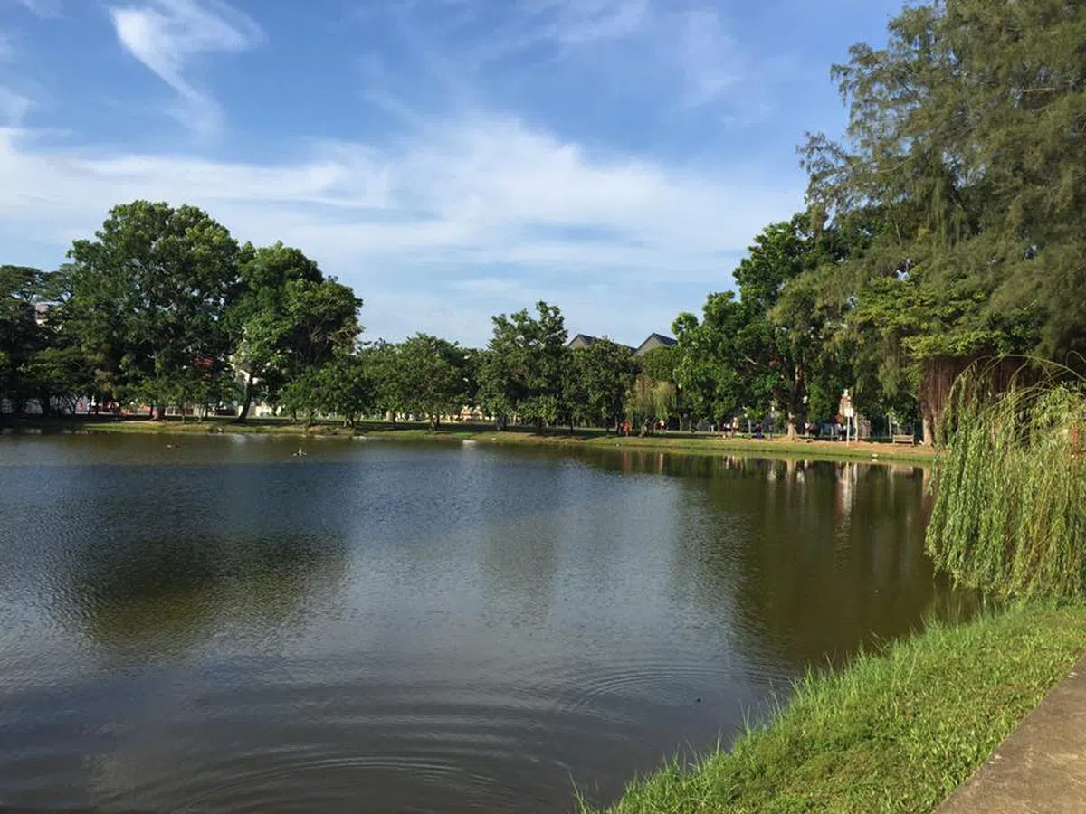  缩小了湖面后的中正湖依然景致优美。（叶孝忠摄） 