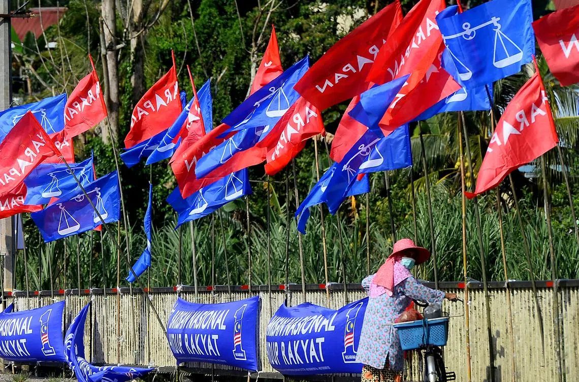 马国即将在11月19日迎来大选。（星报）