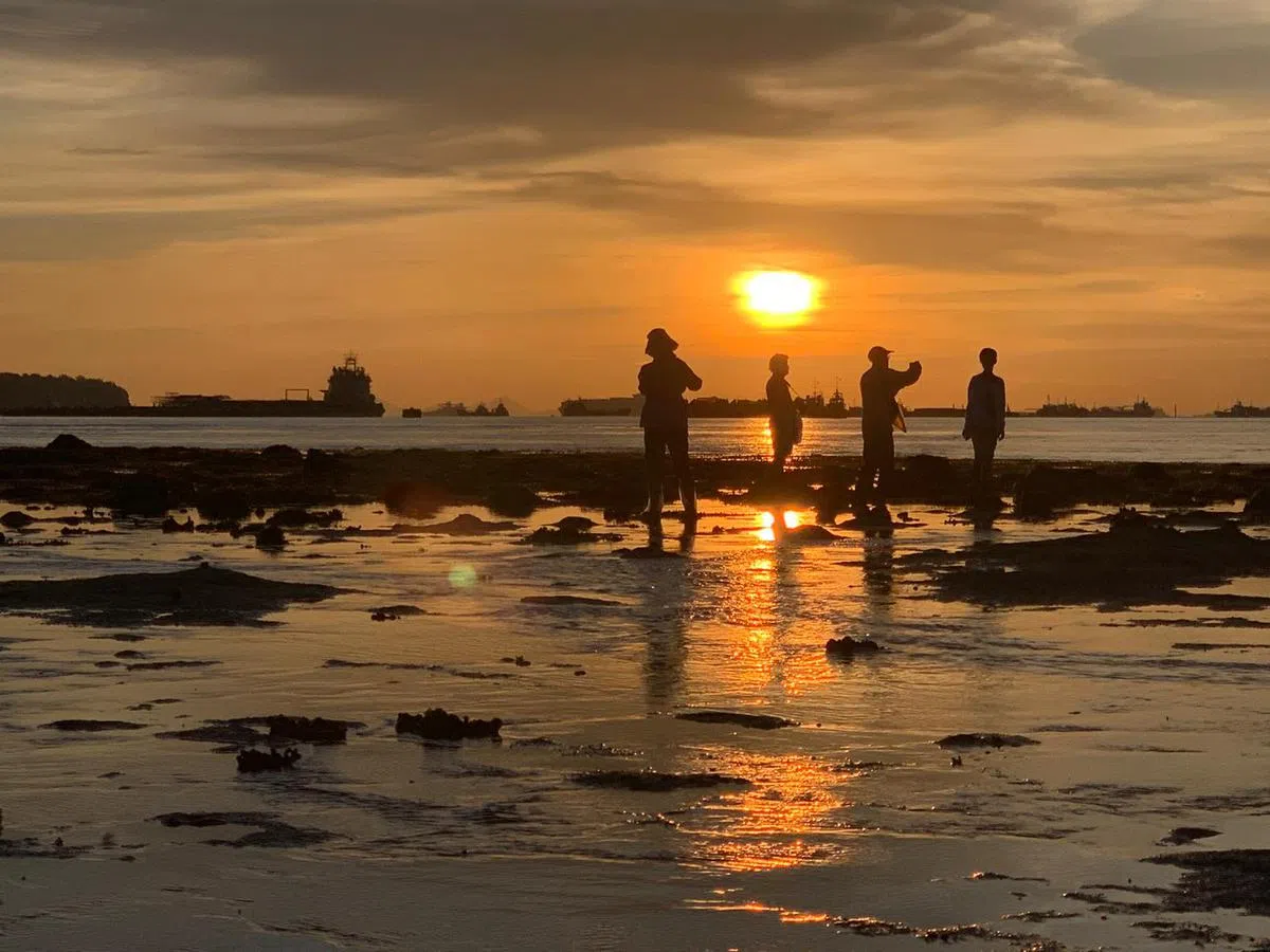  在魔鬼岛上可以一边欣赏海洋沙地里的生态，还可以欣赏夕阳西下的美丽风景。（叶孝忠摄） 