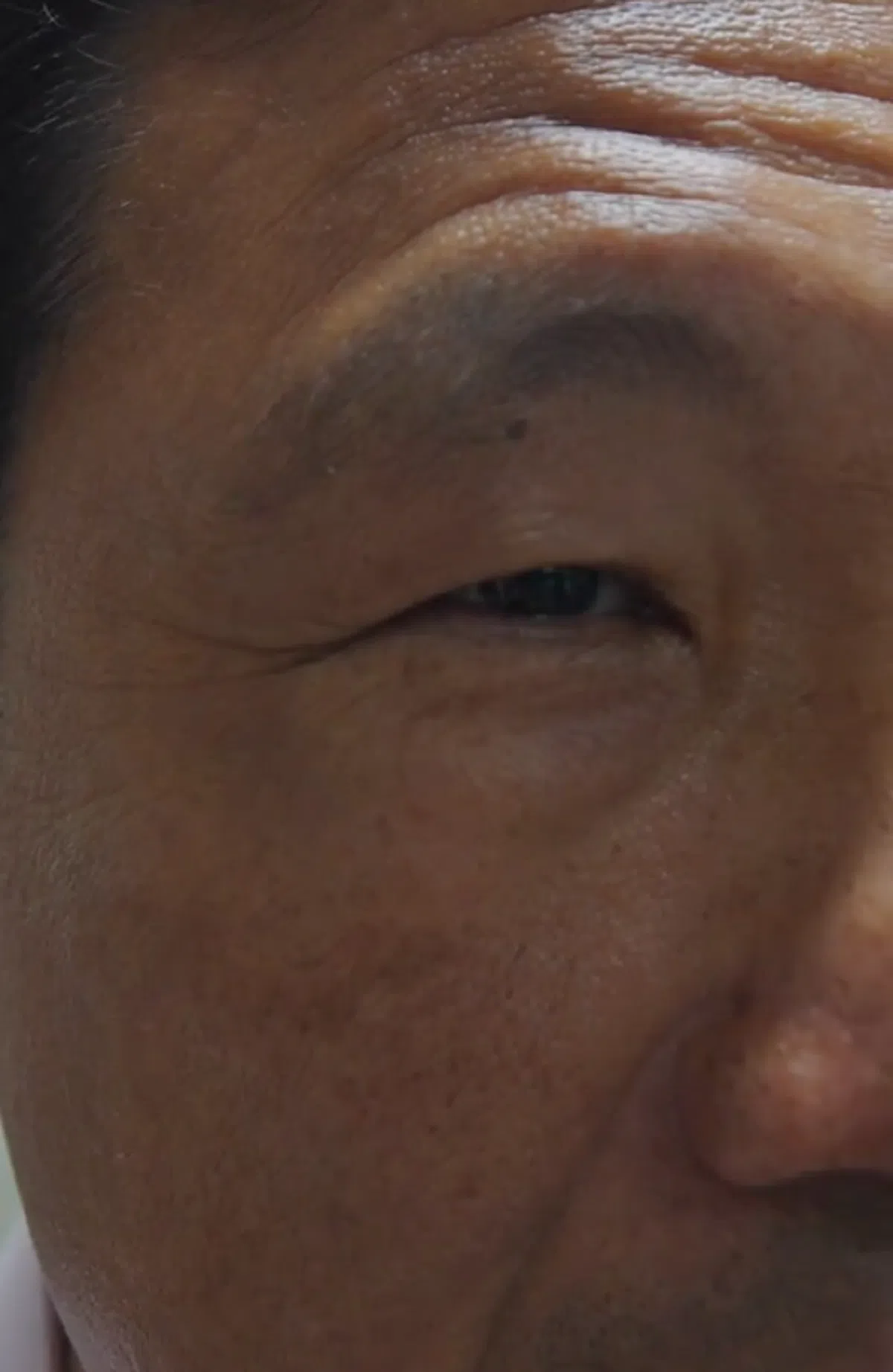 红蚂蚁有被这个犀利眼神吓到。（TikTok视频截图）