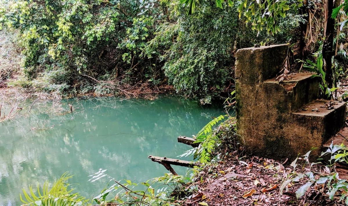  废弃蓄水池中还存有当年地残迹如部分的跳水版和混凝土做成的台阶。（thehoneycombers) 