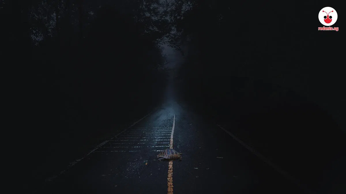 示意图。（刘慧玲制图）