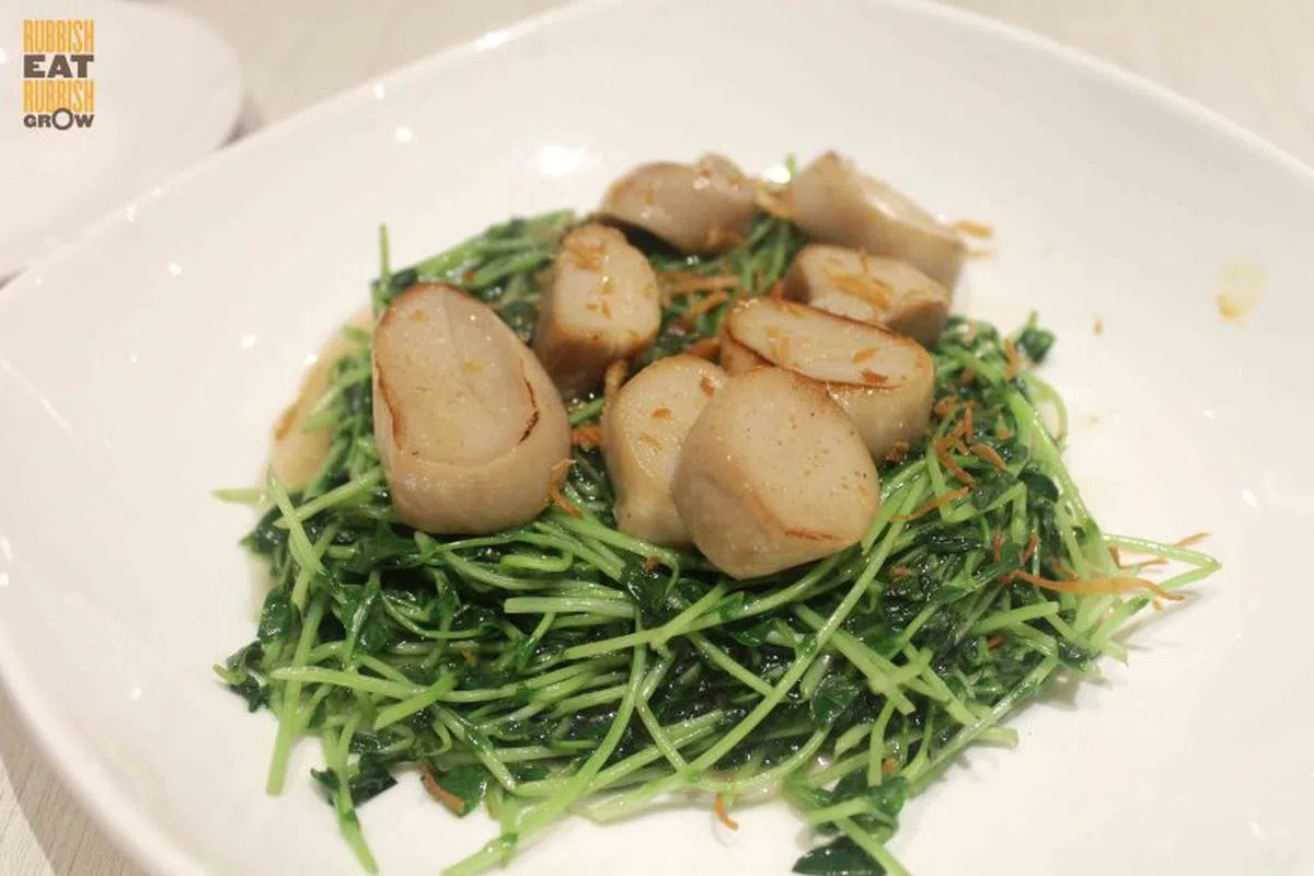  招牌菜：鲜贝豆苗（24元9角） 