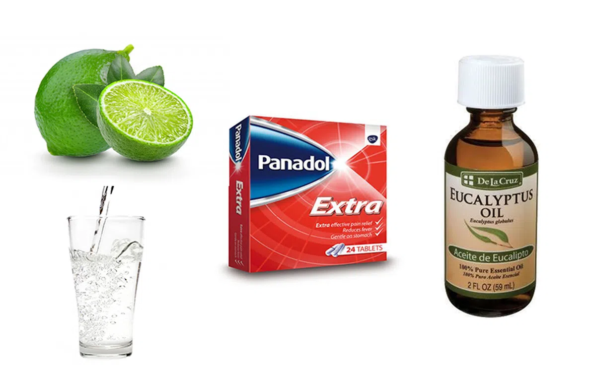  “治病妙招”④：酸柑温水 + Panadol + 桉树油。（红蚂蚁制图） 