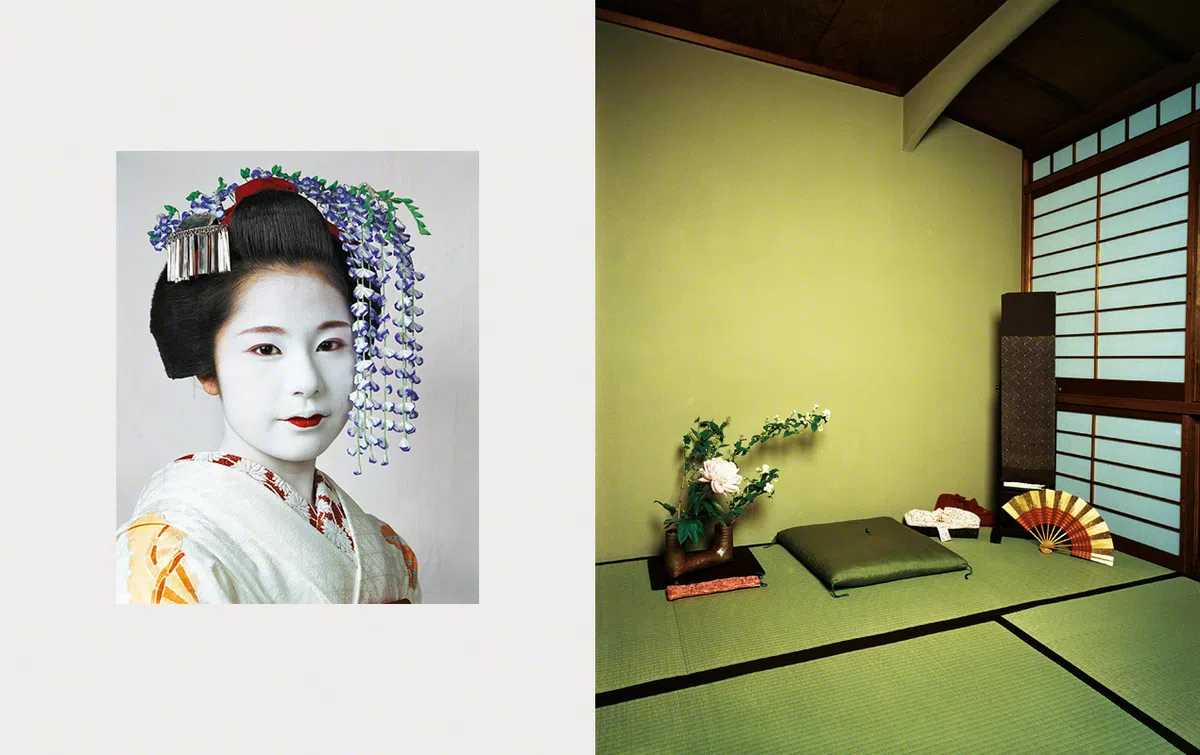  （取自James Mollison网站） 