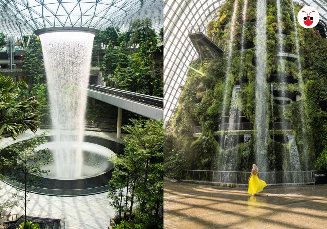 滨海湾花园和星耀樟宜概念和亮点差不多，尤其是瀑布和花草树木的设计。（樟宜机场/互联网）