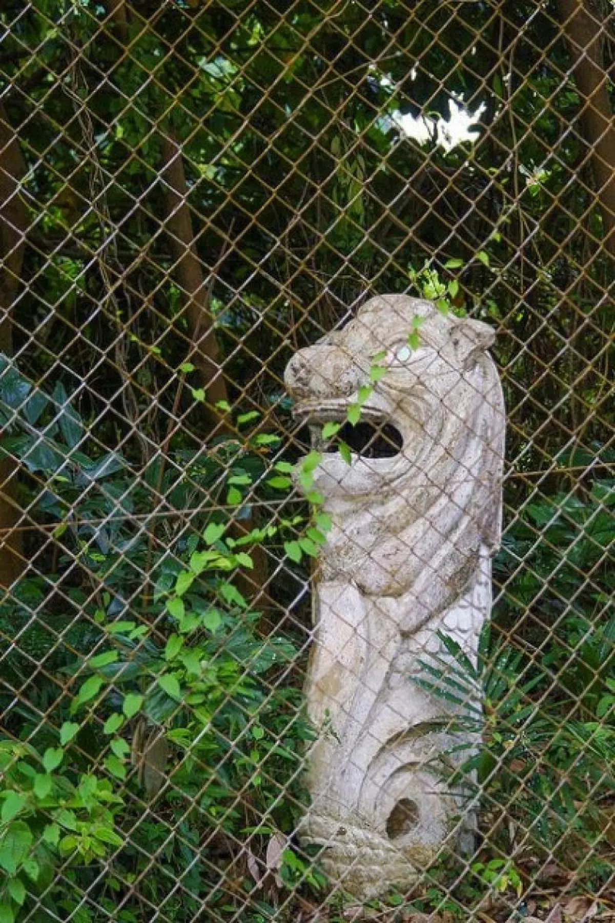  没有人知道它从哪里来，也没有人知道它到哪里去。（互联网） 